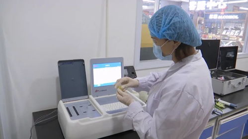 瓜州嚴把農產品質量安全關，讓百姓“菜籃子”拎出幸福感