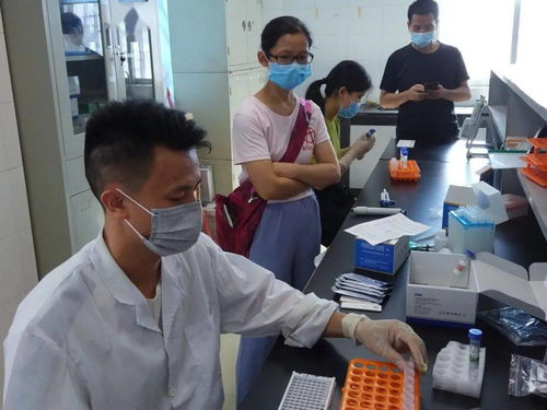 守護舌尖上的安全，古鎮鎮舉辦農產品檢驗檢測機構開放日活動