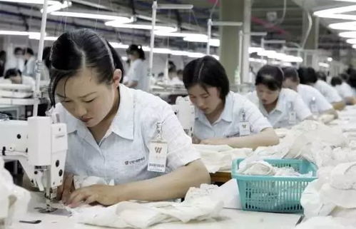 過猶不及 為什么單純依賴服裝工廠檢驗無法提升產品質量