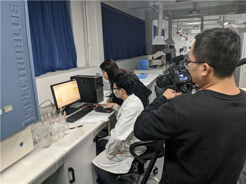珠海銅合金與鉛錫合金檢測檢驗技術服務解析